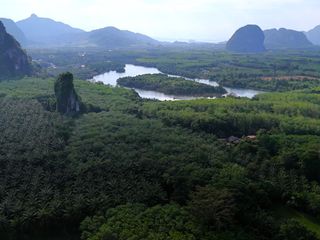 For sale land in Mueang Krabi, Krabi