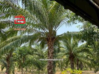 For sale land in Na Di, Prachin Buri