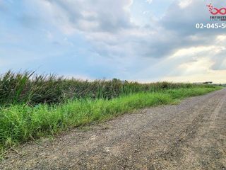 ขาย ที่ดิน ใน ธัญบุรี, ปทุมธานี