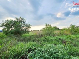 ขาย ที่ดิน ใน ธัญบุรี, ปทุมธานี