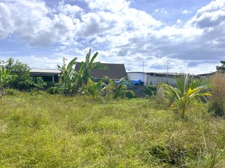 For sale land in Takua Thung, Phang Nga