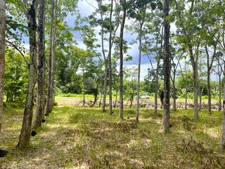 For sale land in Takua Thung, Phang Nga