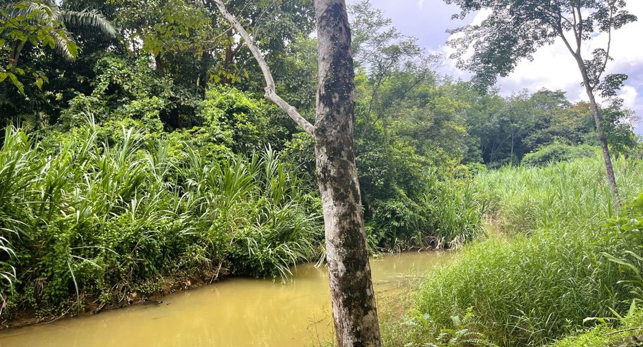 For sale land in Takua Thung, Phang Nga