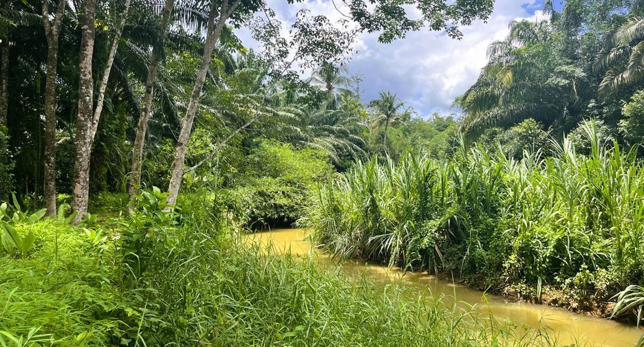 For sale land in Takua Thung, Phang Nga