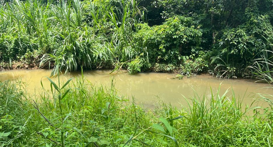 For sale land in Takua Thung, Phang Nga