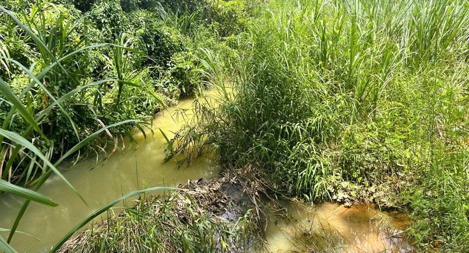 For sale land in Takua Thung, Phang Nga
