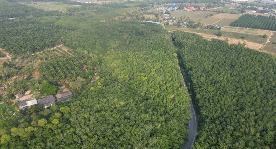 出售 土地 在 Si Racha, Chon Buri