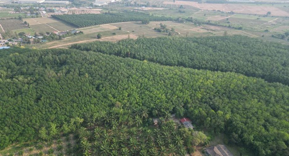 出售 土地 在 Si Racha, Chon Buri