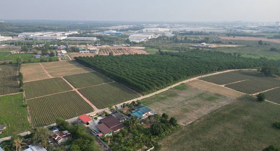 出售 土地 在 Si Racha, Chon Buri