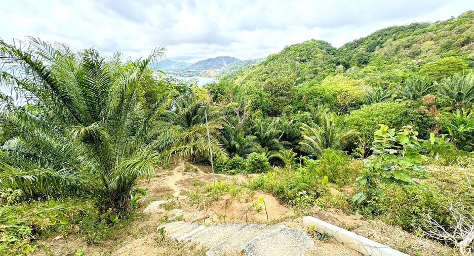 À vendre terrain à Mueang Phuket, Phuket