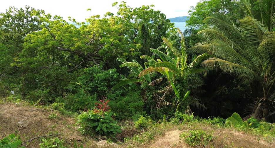 À vendre terrain à Mueang Phuket, Phuket