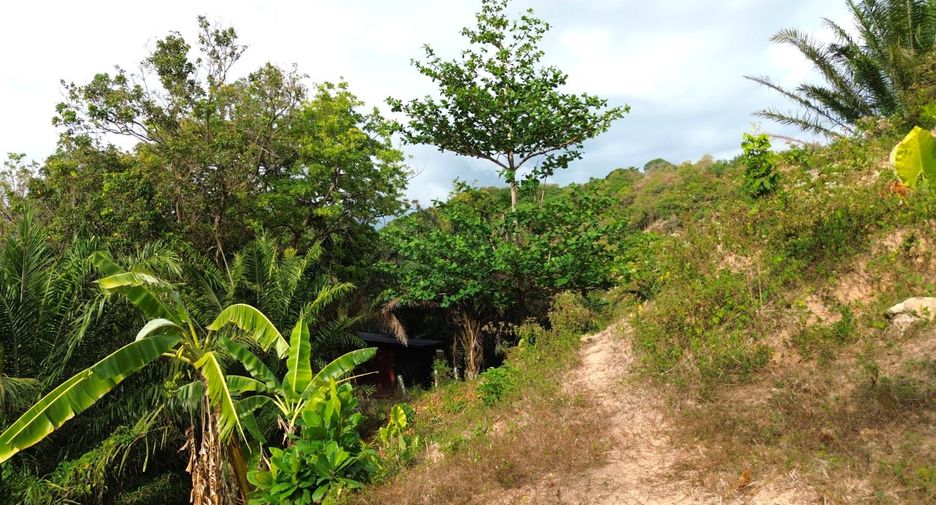 À vendre terrain à Mueang Phuket, Phuket