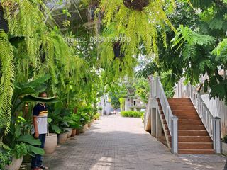 For sale 8 bed villa in Sam Khok, Pathum Thani