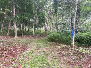 For sale land in Takua Thung, Phang Nga