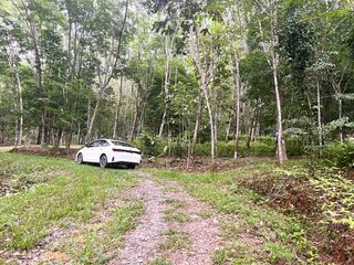 For sale land in Takua Thung, Phang Nga