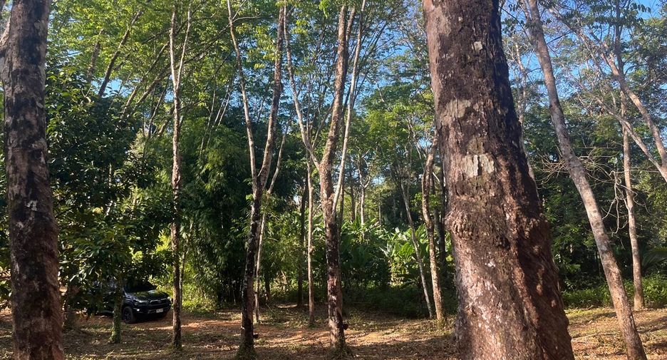 Grundstück zum Kauf in Takua Thung, Phang Nga