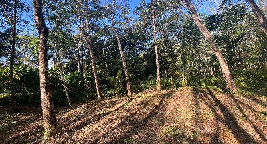Grundstück zum Kauf in Takua Thung, Phang Nga