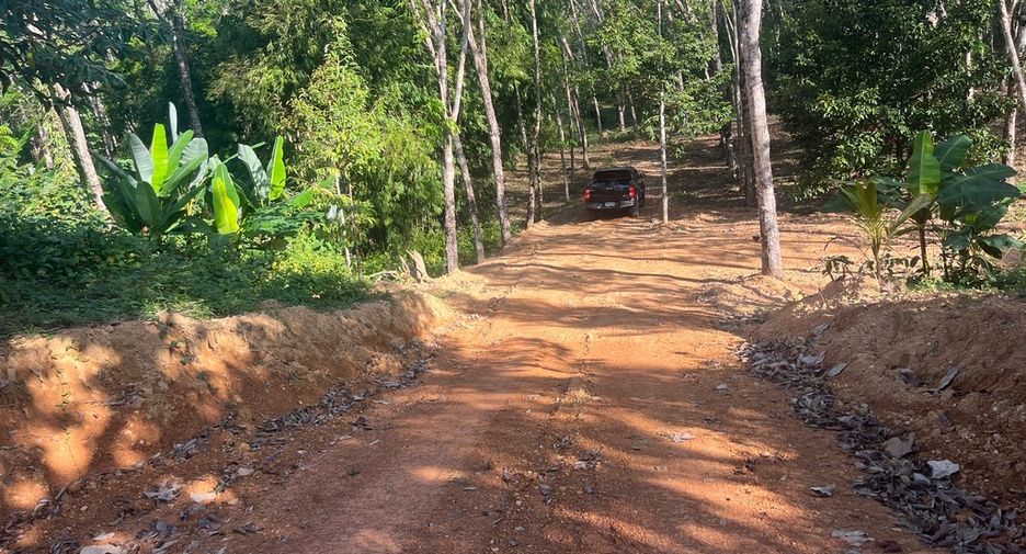 Grundstück zum Kauf in Takua Thung, Phang Nga