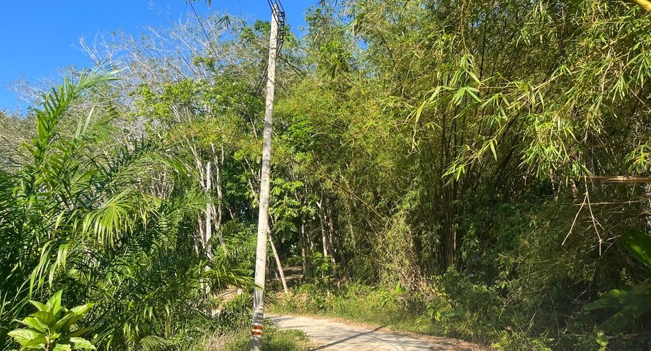 Grundstück zum Kauf in Takua Thung, Phang Nga