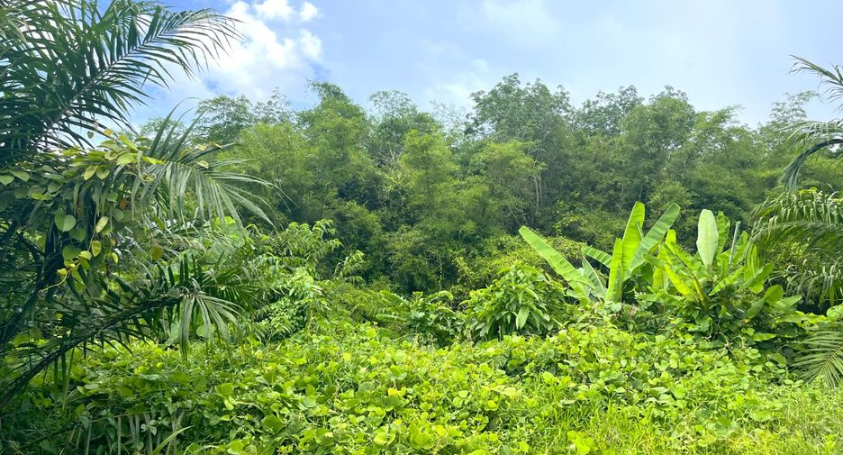 For sale land in Thai Mueang, Phang Nga