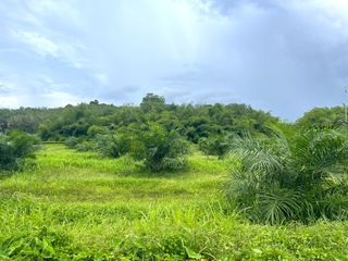 For sale land in Thai Mueang, Phang Nga