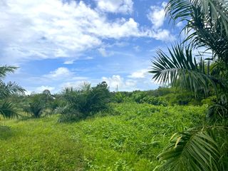 For sale land in Thai Mueang, Phang Nga