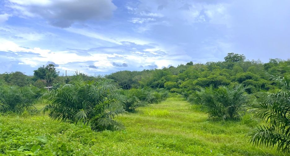 For sale land in Thai Mueang, Phang Nga