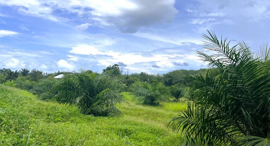 For sale land in Thai Mueang, Phang Nga