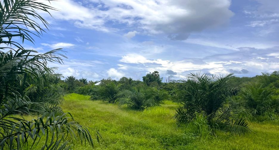For sale land in Thai Mueang, Phang Nga