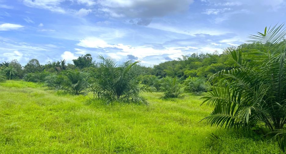 For sale land in Thai Mueang, Phang Nga