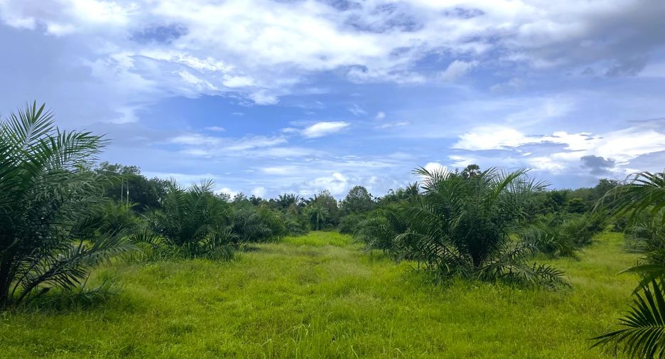 For sale land in Thai Mueang, Phang Nga