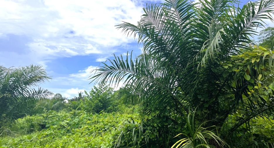 For sale land in Thai Mueang, Phang Nga