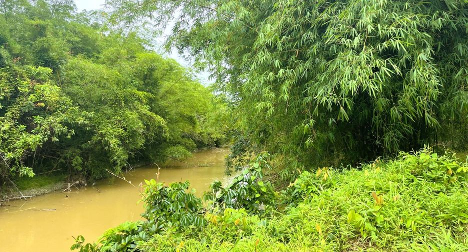 For sale land in Thai Mueang, Phang Nga