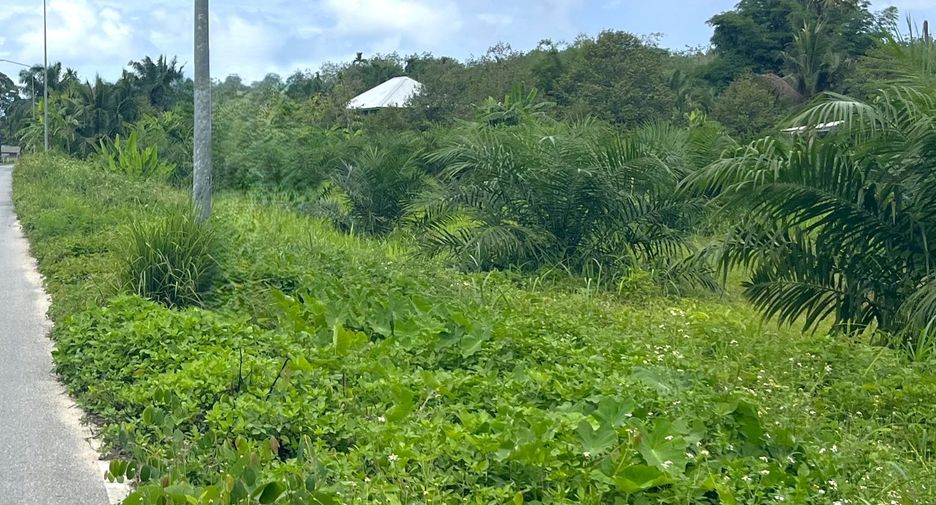 For sale land in Thai Mueang, Phang Nga