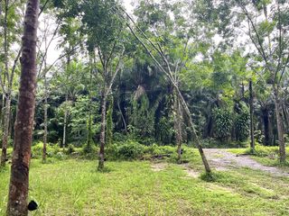 For sale land in Thai Mueang, Phang Nga