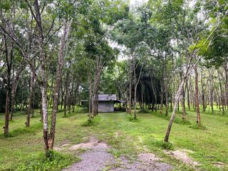 For sale land in Thai Mueang, Phang Nga