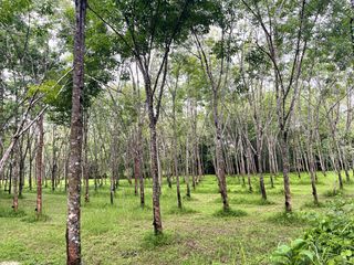 For sale land in Thai Mueang, Phang Nga