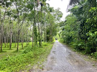 For sale land in Thai Mueang, Phang Nga