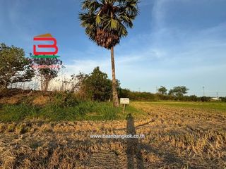 ขาย ที่ดิน ใน สามโคก, ปทุมธานี