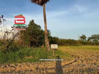 ขาย ที่ดิน ใน สามโคก, ปทุมธานี