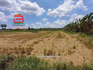 ขาย ที่ดิน ใน สามโคก, ปทุมธานี