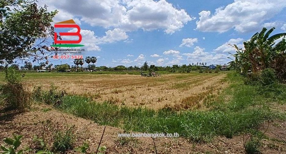 For sale land in Sam Khok, Pathum Thani