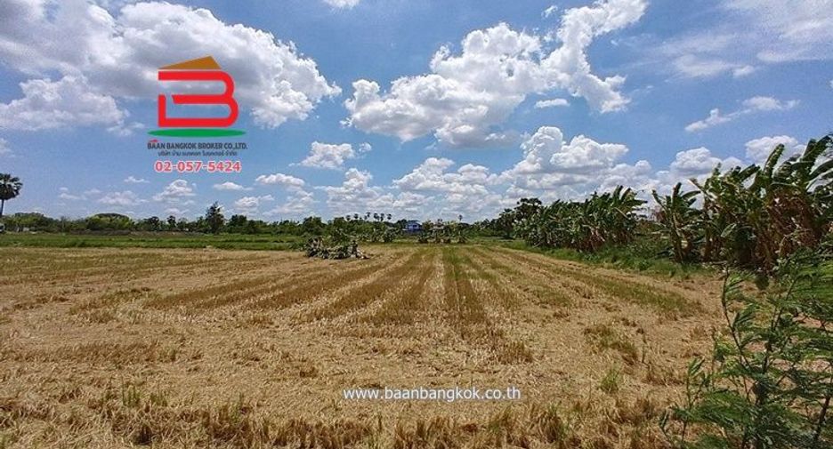 For sale land in Sam Khok, Pathum Thani