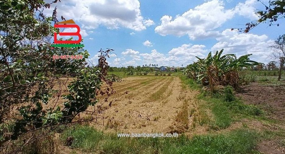 For sale land in Sam Khok, Pathum Thani