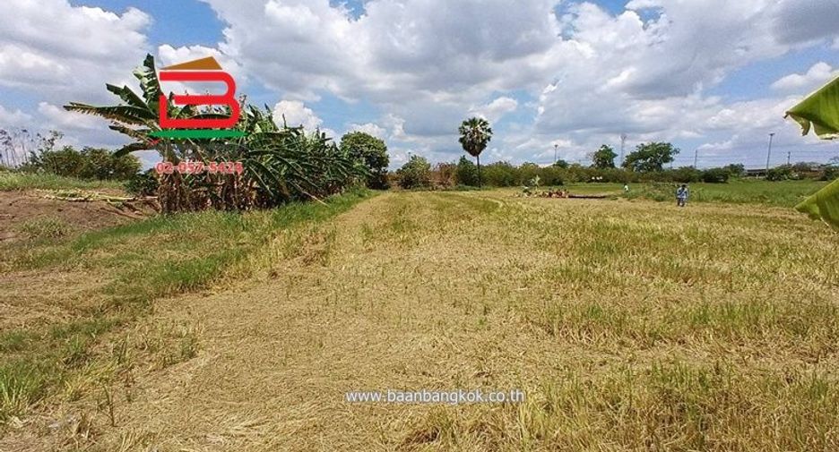 For sale land in Sam Khok, Pathum Thani