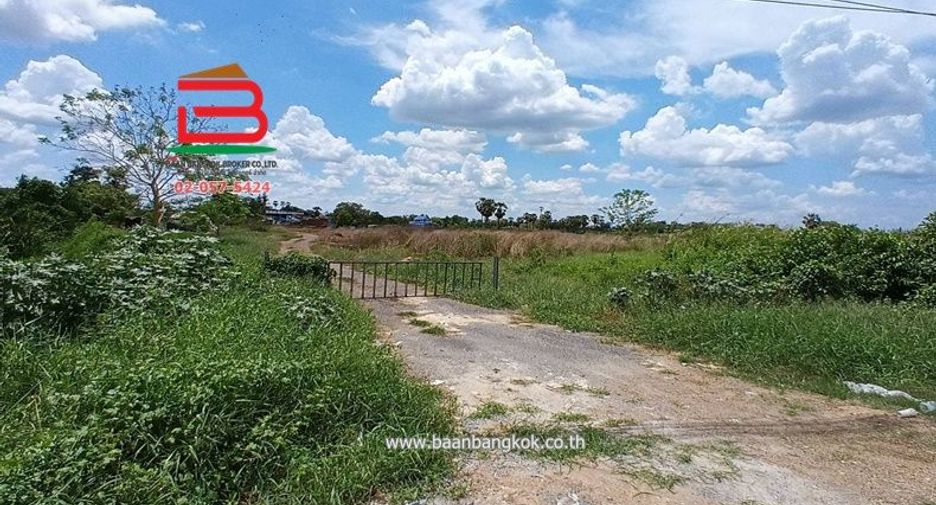 For sale land in Sam Khok, Pathum Thani