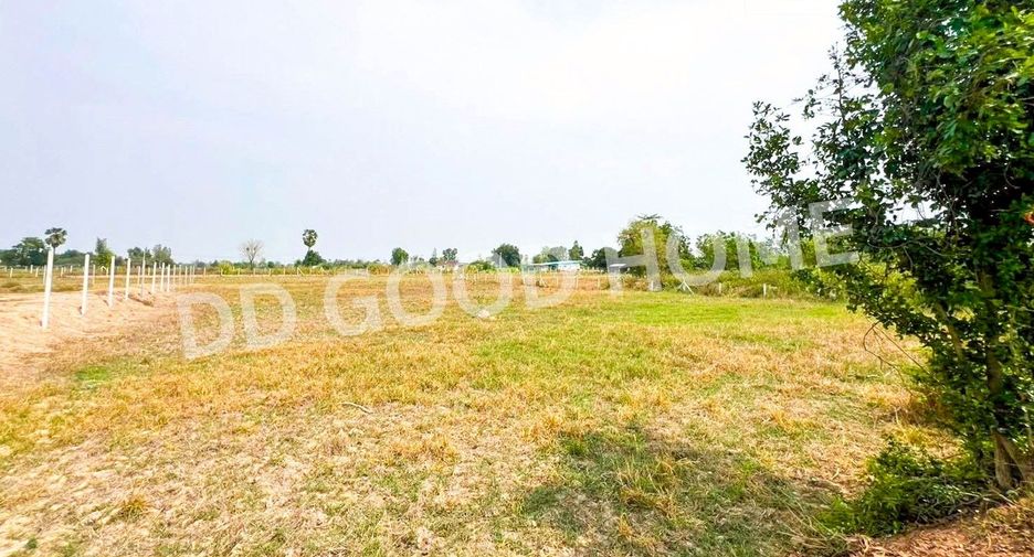 For sale land in Nong Ya Sai, Suphan Buri