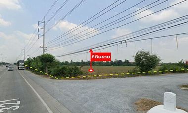 Grundstück zum Kauf in Kamphaeng Saen, Nakhon Pathom