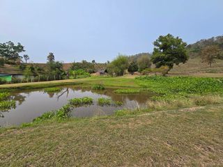 For sale land in Mae Chan, Chiang Rai