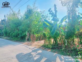 For sale land in Mueang Sing Buri, Sing Buri